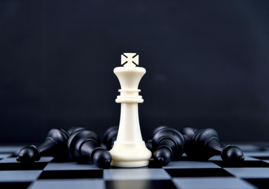 Прием заявок на участие в VIII Всероссийском чемпионате по шахматам среди адвокатов «Белая королева»