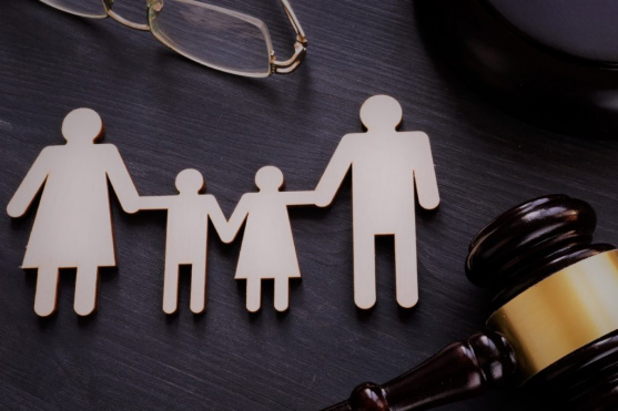Семинар «Судебно-психологическая экспертиза детско-родительских отношений» 